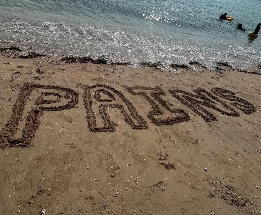 PAINS 친목 활동